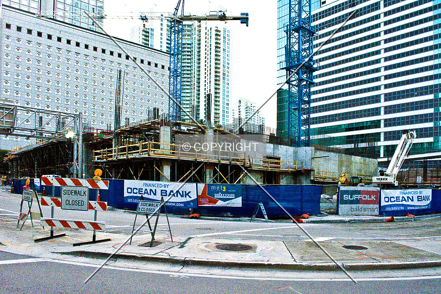 Monarc at Met 3 by Jorge Molina