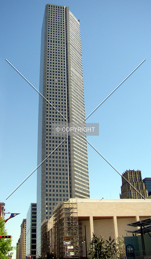 600 Travis by Chris Patriarca