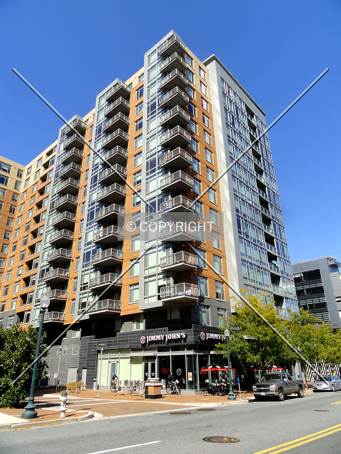 The Cameron by Chris Patriarca