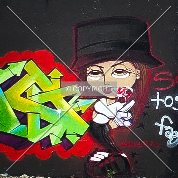 Saint Louis City Flood Wall (South Wall) by Ryan Hildebrand