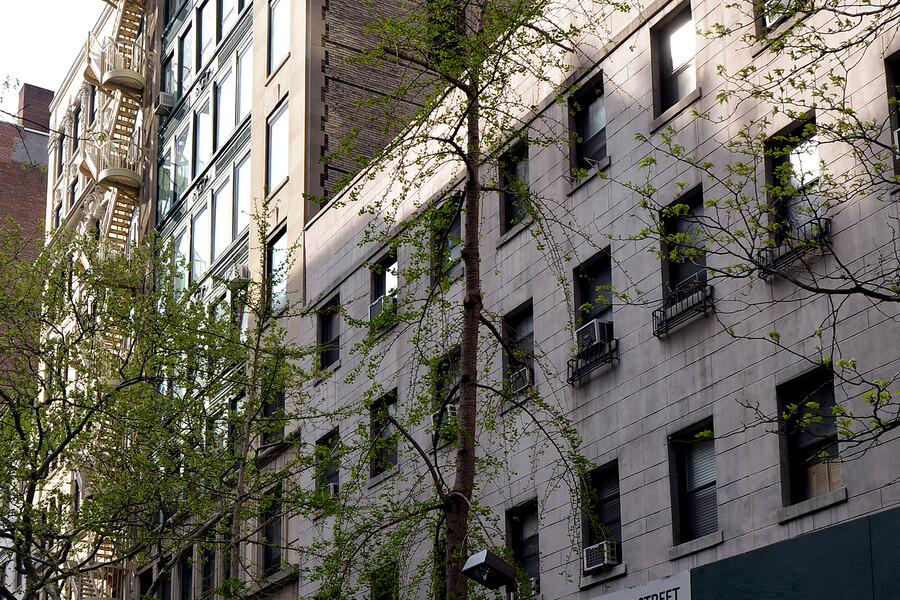 33 East 22nd Street