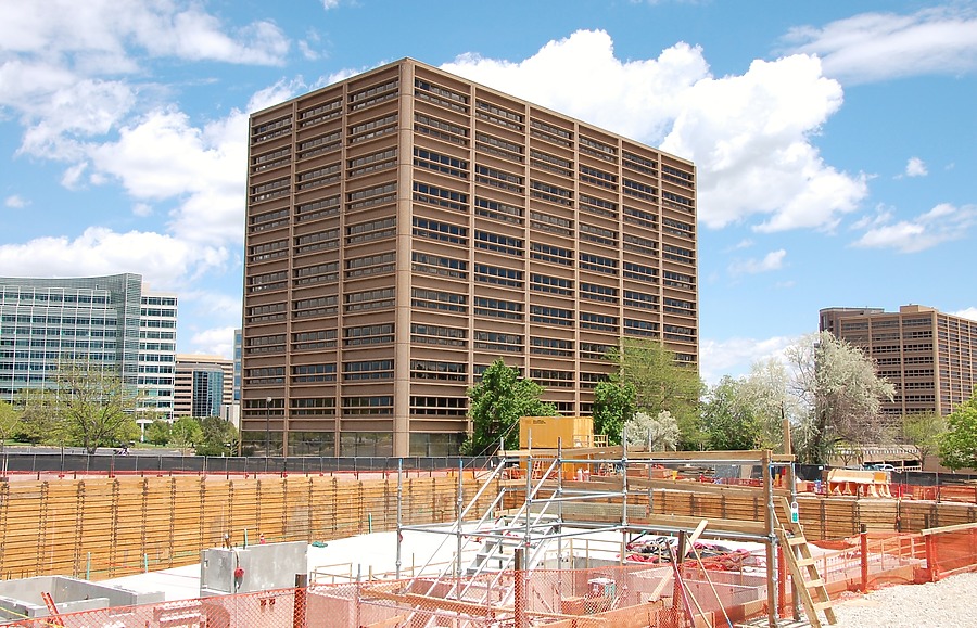 50 Fifty DTC by Brian LoBue