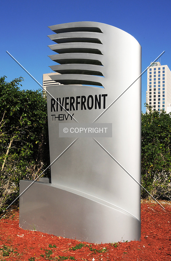 The Ivy by Jorge Molina