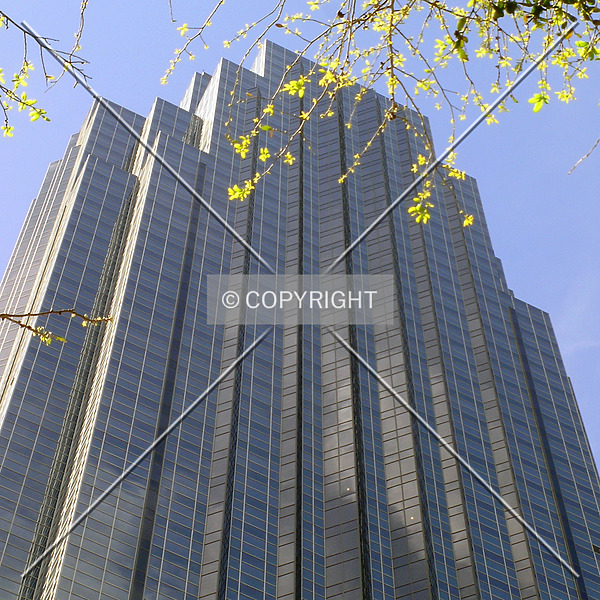 Williams Tower by Serdica