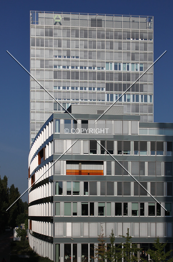 Cielo by Emmanuel D.