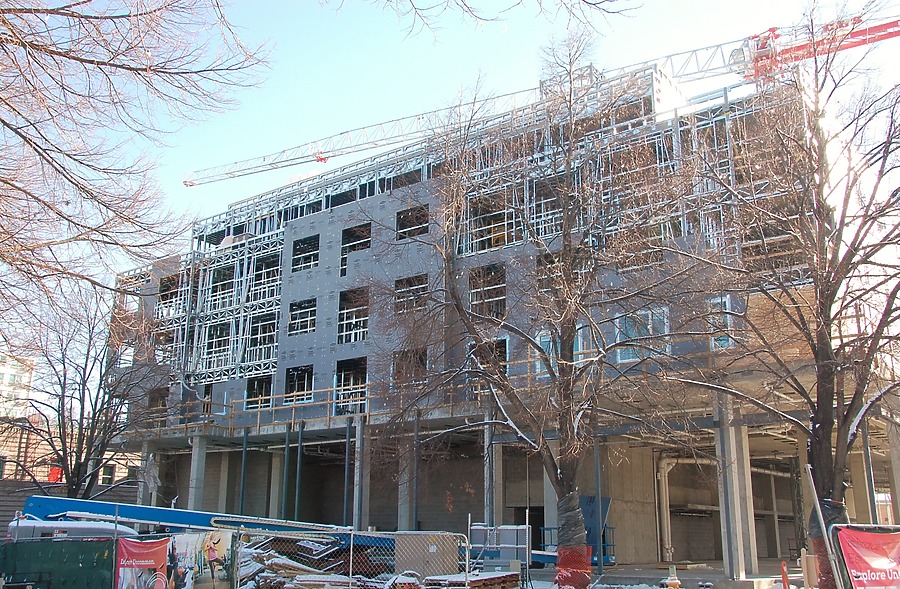 Uncommon Fort Collins by Brian LoBue