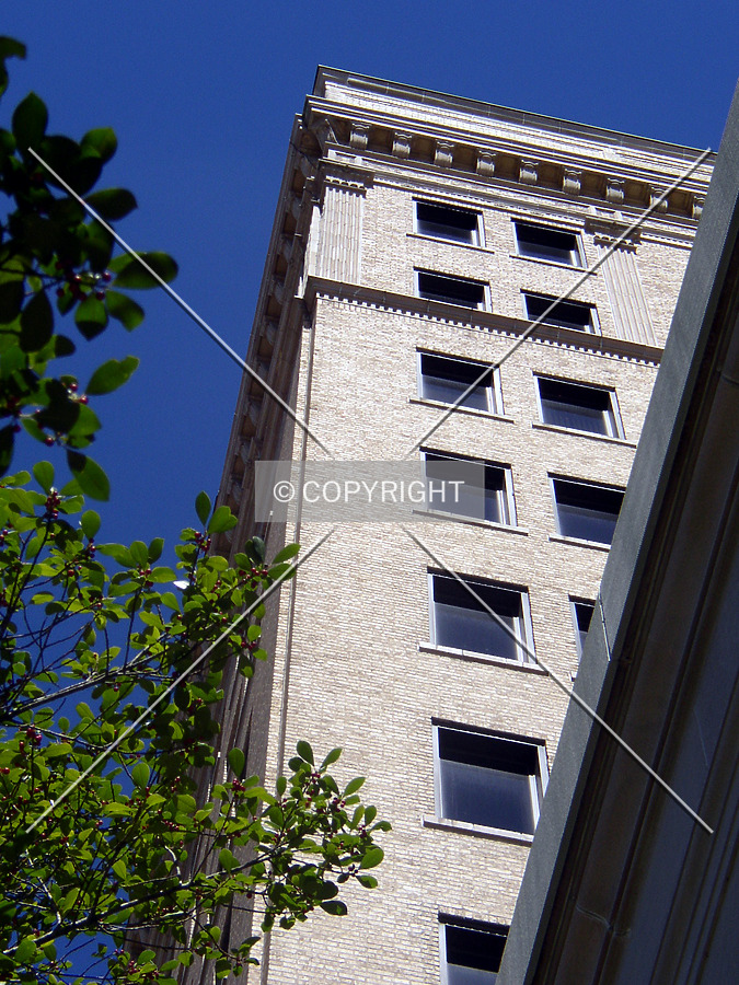 Louisiana State Office Building by Chris Patriarca