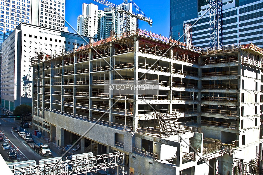 Monarc at Met 3 by Jorge Molina