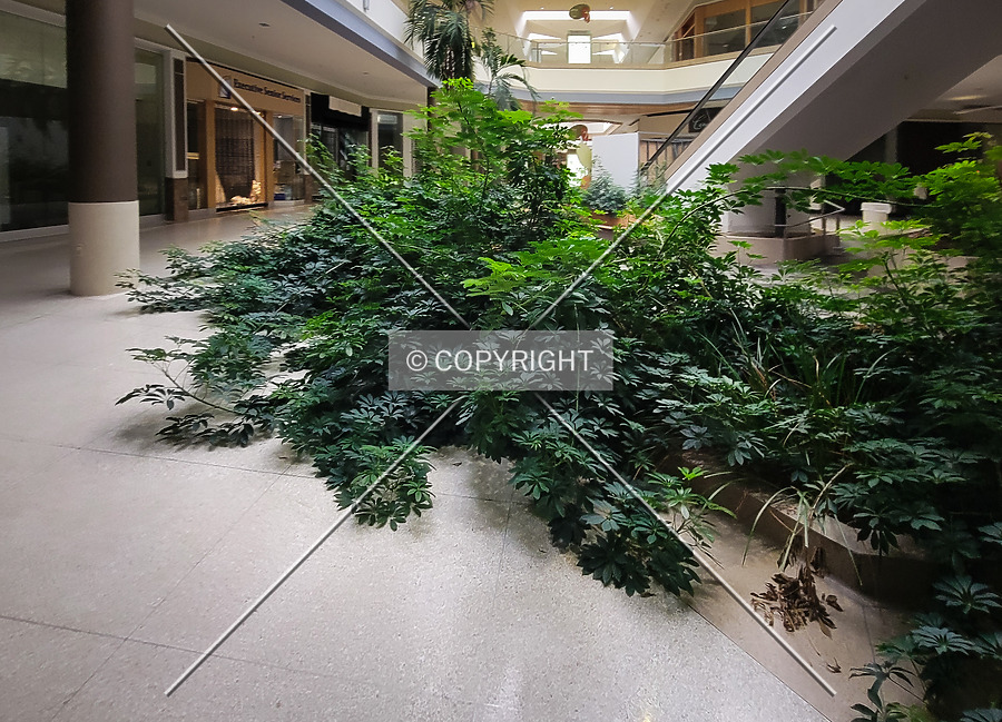 Chesterfield Mall by Ryan Hildebrand