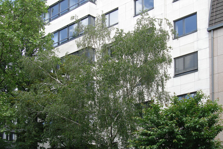 Westendstraße 24