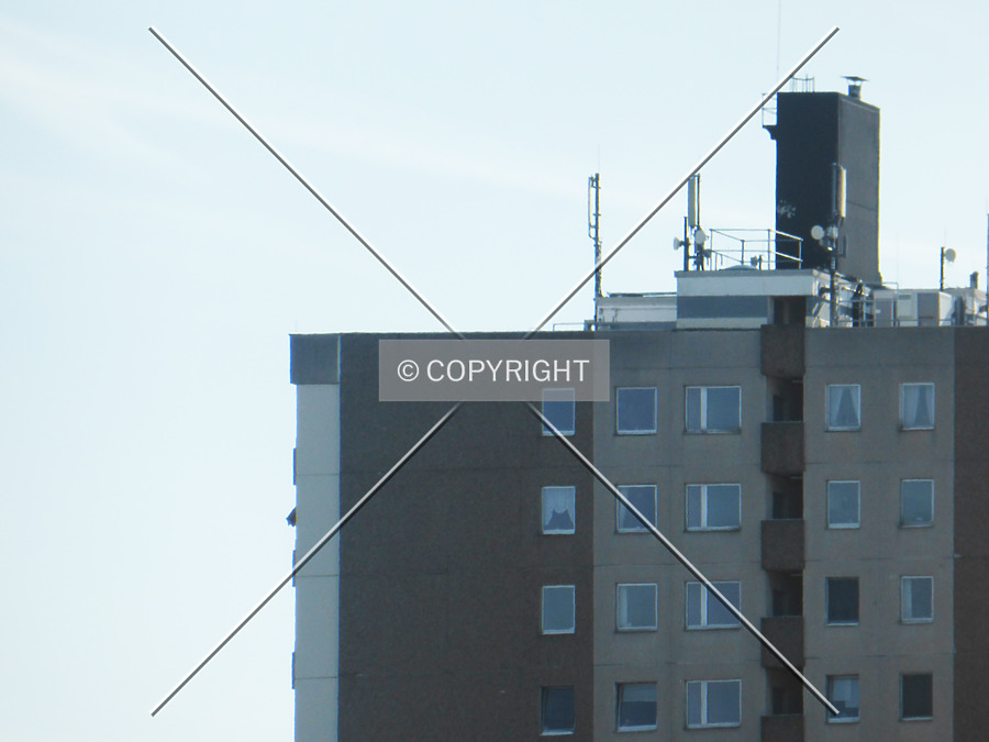 Waldgartenstraße 32 by Nephilim