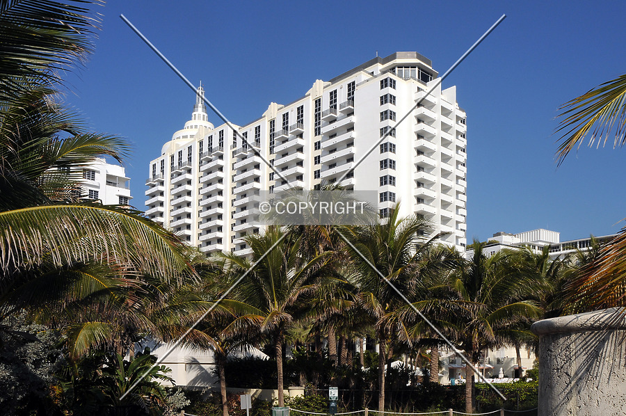 Loews Miami Beach Hotel South Beach by Jorge Molina