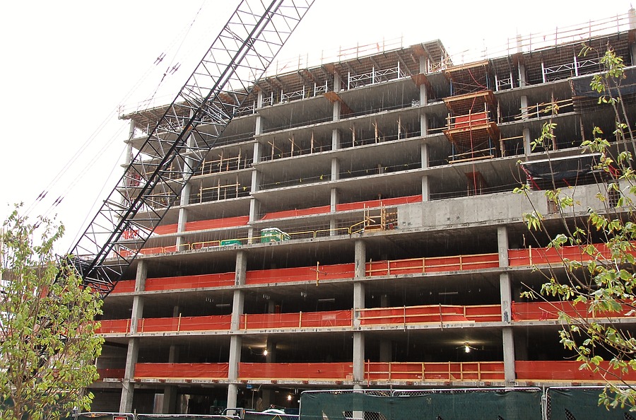 The Coloradan by Brian LoBue