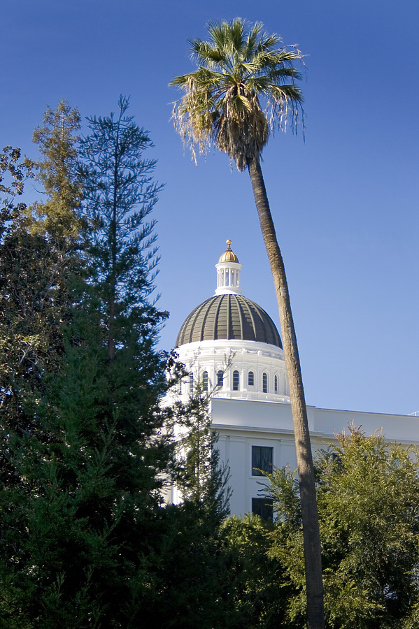 California State Capitol by Jim Schwartz