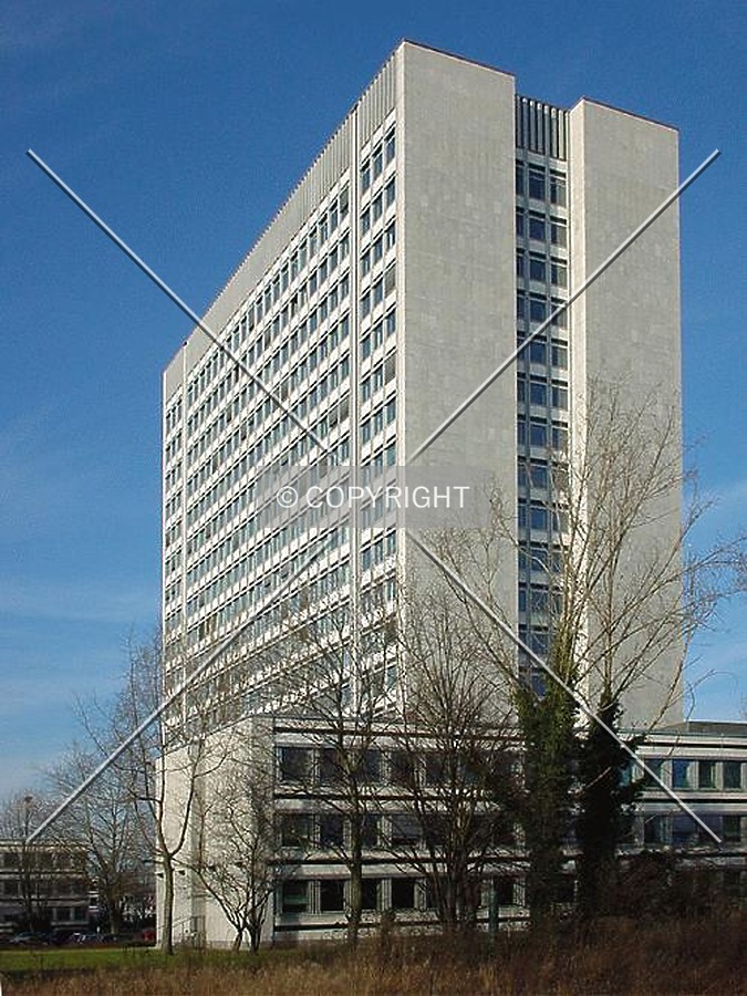 Hochhaus im Tulpenfeld by Nephilim
