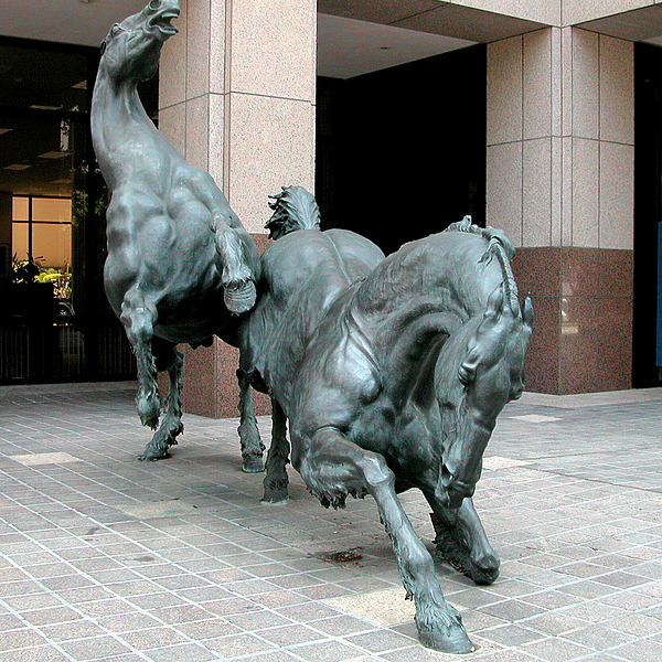 The Lexington by Jim Schwartz