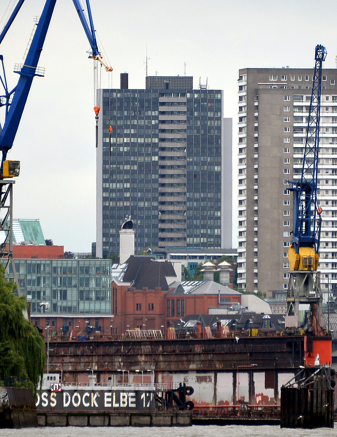 Palmaille 35 by John W. Cahill