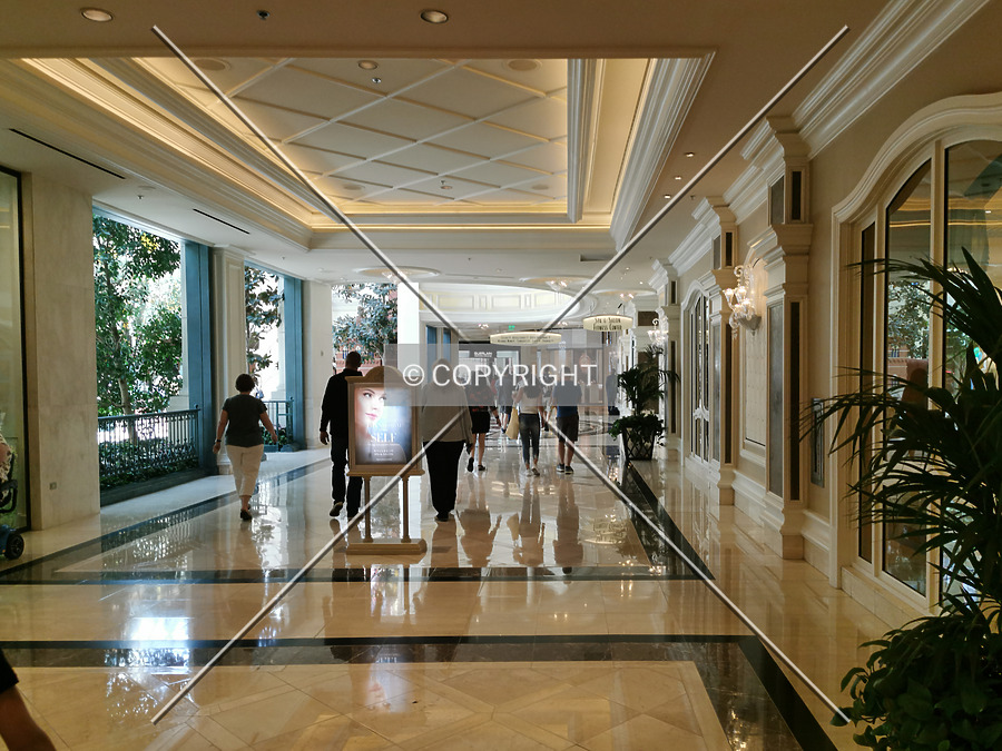 Bellagio Resort & Casino by Nephilim