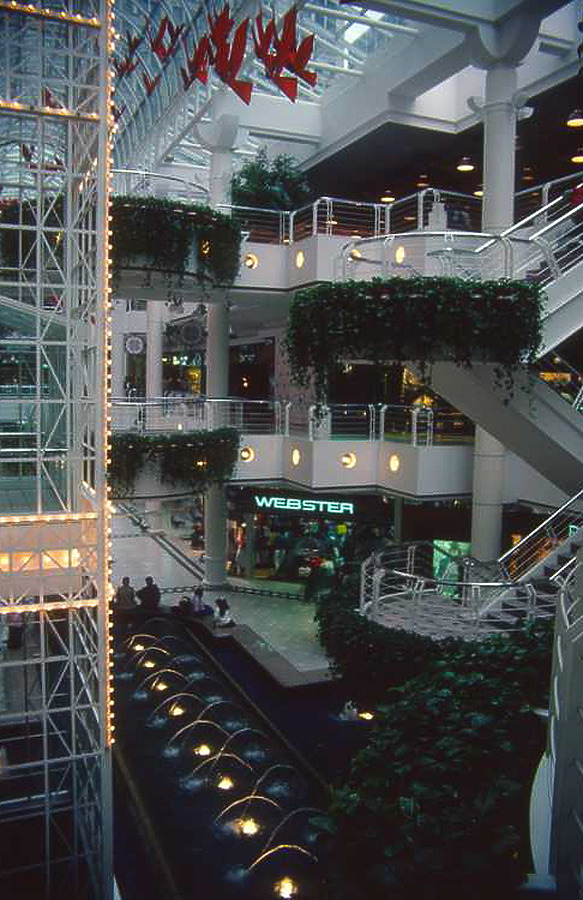 600 Washington by J. C. Raulston / J. C. Raulston\'s Slide Collection / NC State University