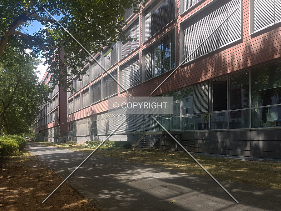 Allianz-Kai by Nephilim