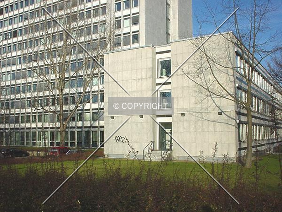 Hochhaus im Tulpenfeld by Nephilim