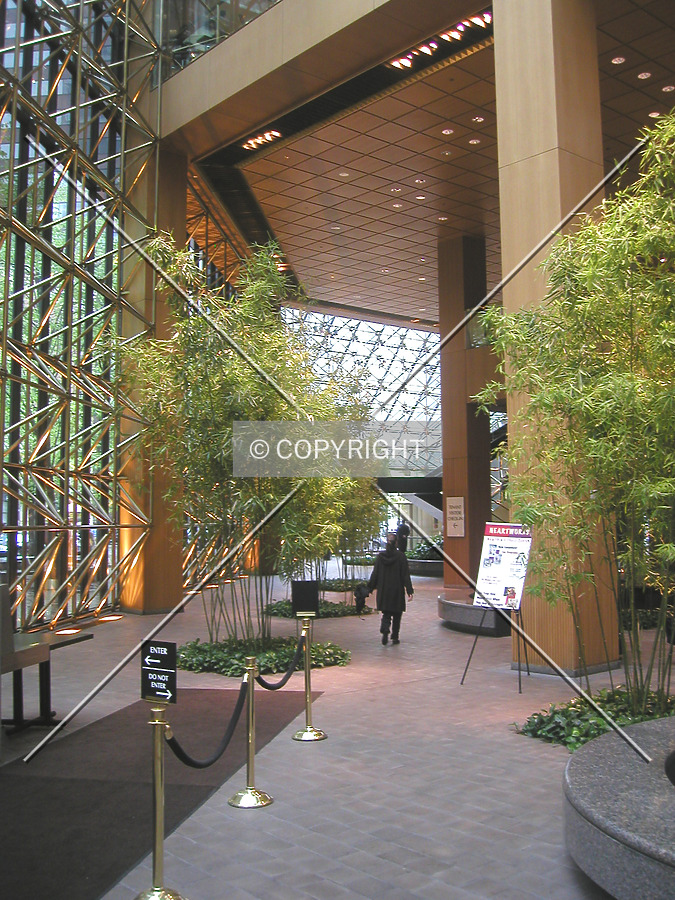 Continental Center by Nephilim