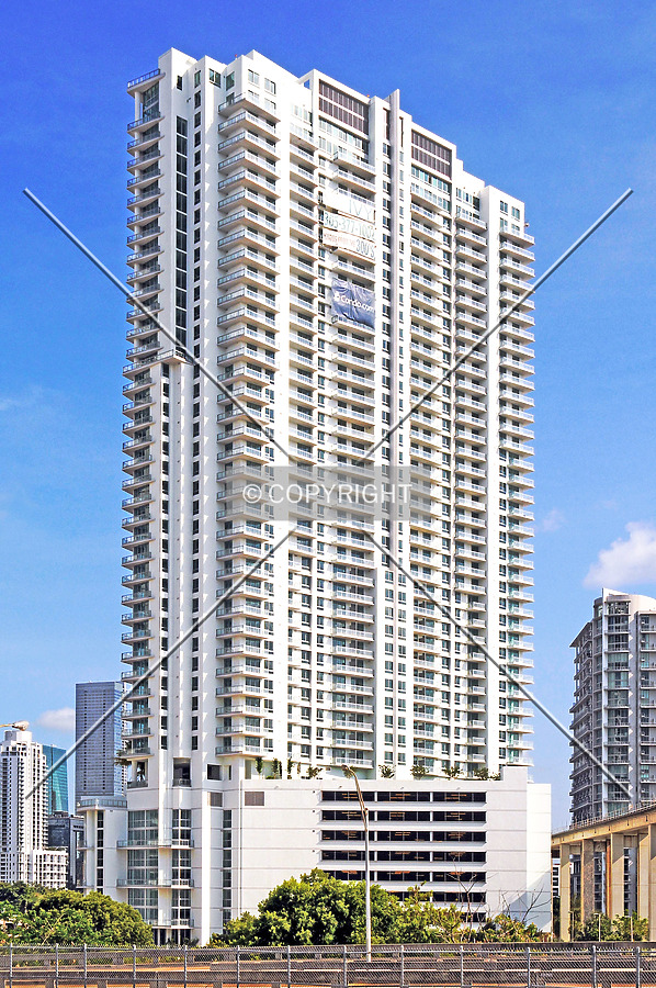 The Ivy by Jorge Molina