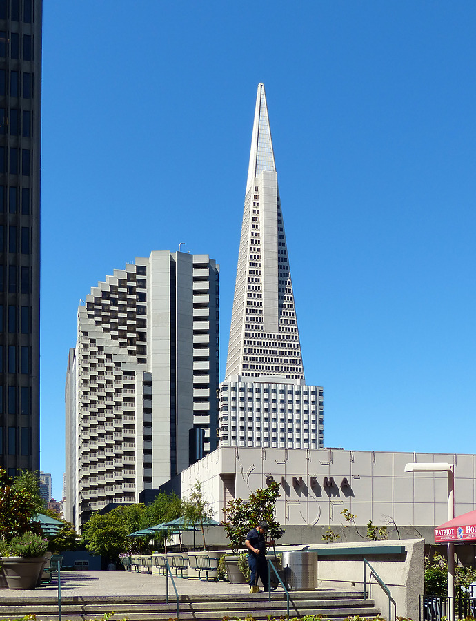Transamerica Pyramid by Nate Lindsey
