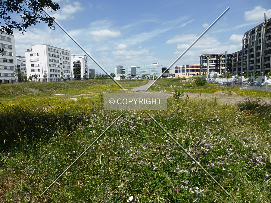 Deutsche Bahn AG by Nephilim