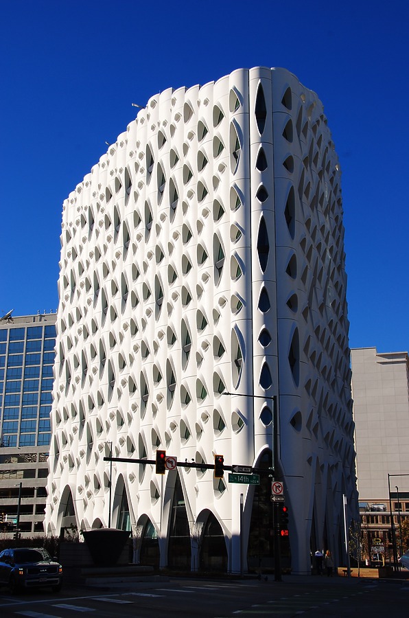 Populus by Brian LoBue