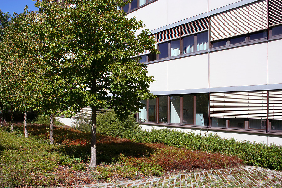 TIZ Technologie- und Innovationszentrum Darmstadt by Daniel Kieckhefer