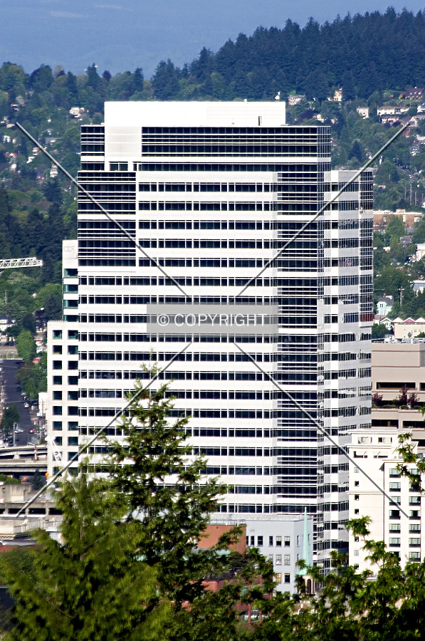 Fox Tower by Serdica