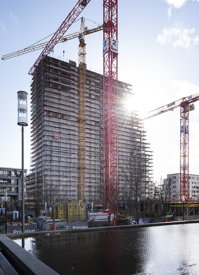 SOLID Home by Bauwerk Capital