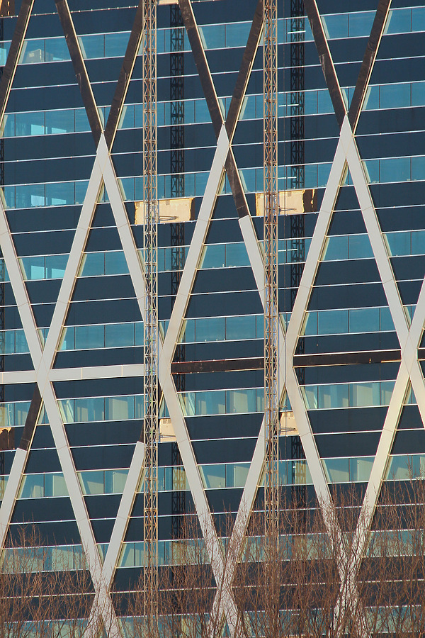 Ernst & Young by Michiel van Dijk