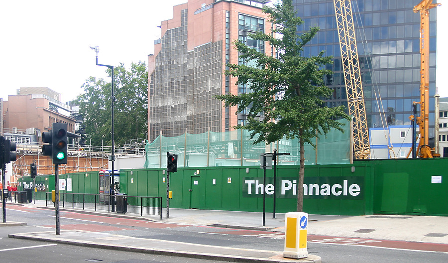 The Pinnacle by Tristram Compton