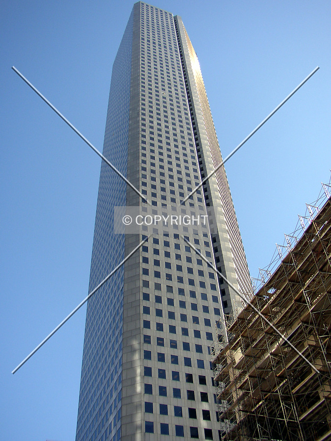 600 Travis by Chris Patriarca