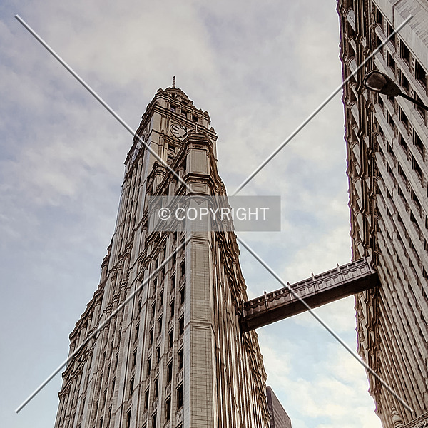Wrigley Building by Ryan Hildebrand