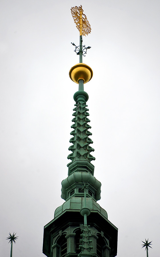 Hamburg City Hall by John W. Cahill