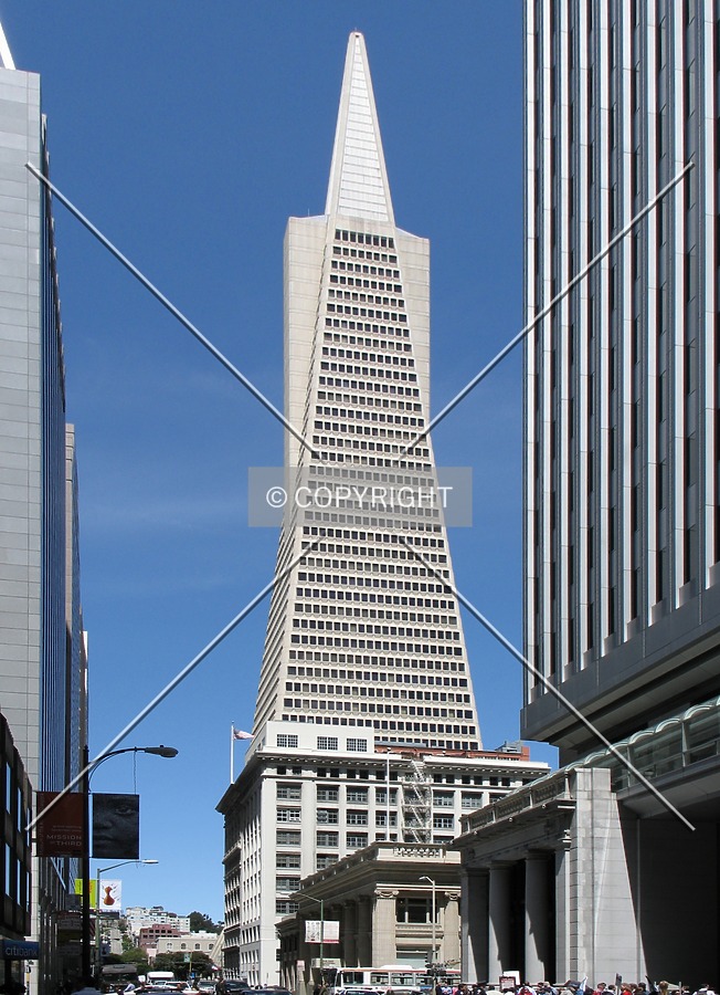 Transamerica Pyramid by Emmanuel D.