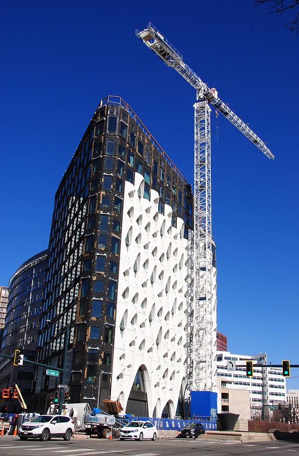 Populus by Brian LoBue