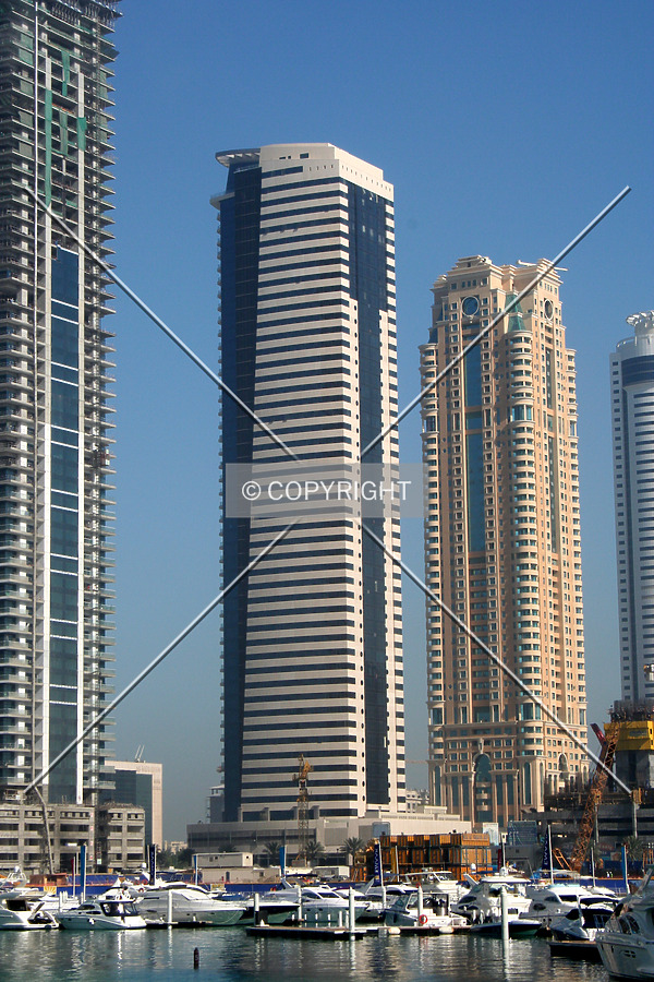 Le Reve by Neil Nickolds