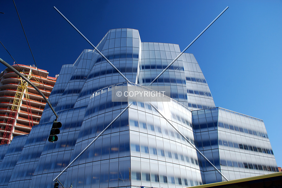 IAC Building by Royce Douglas