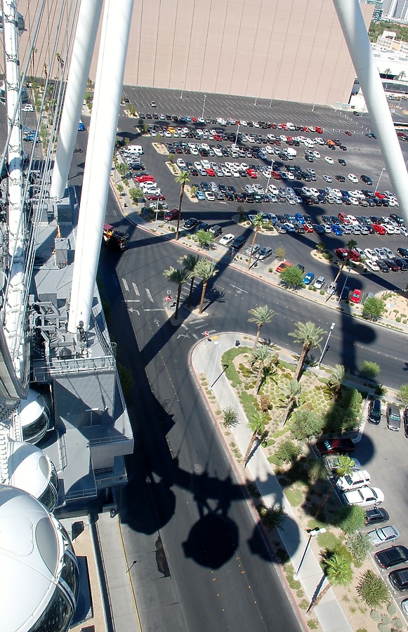 High Roller by Brian LoBue