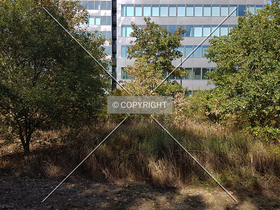 Access Tower by Nephilim