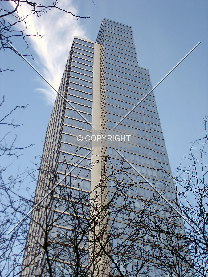 The Link by Royce Douglas