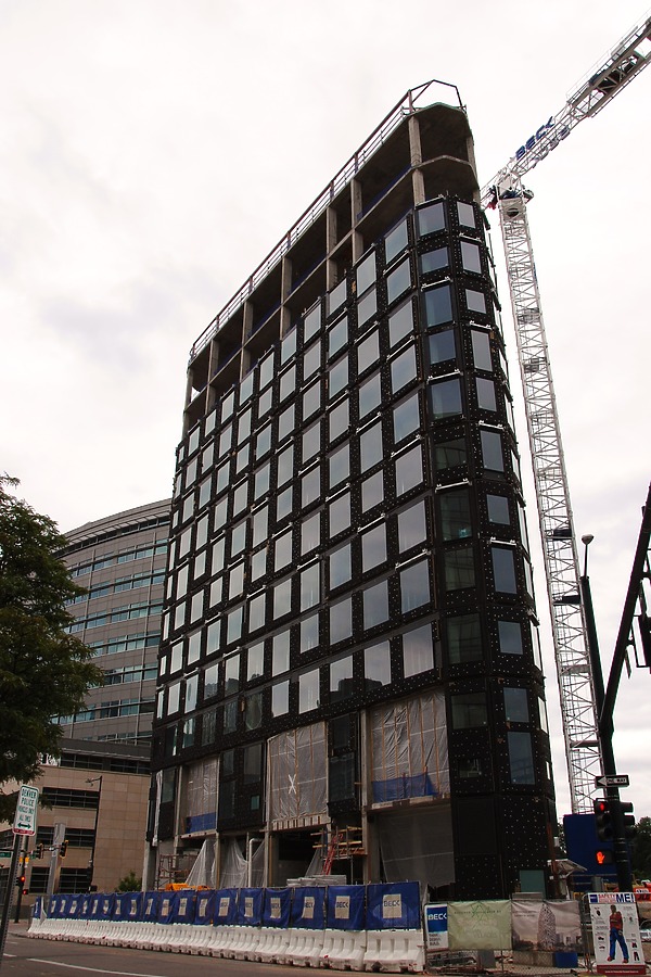 Populus by Brian LoBue