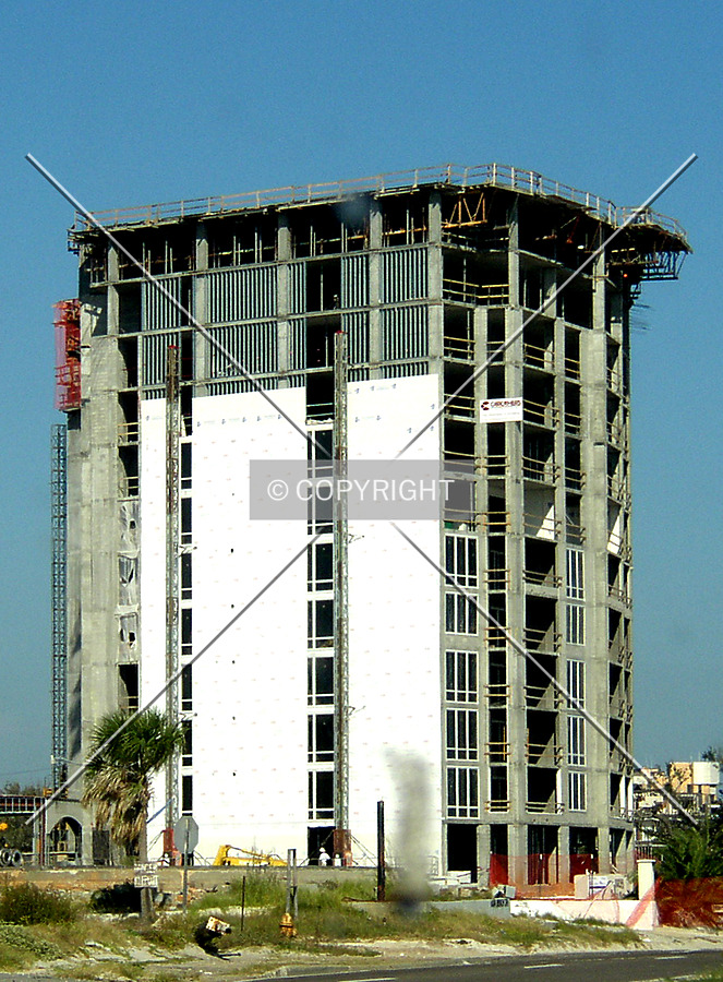 Sienna on the Coast by Chris Patriarca