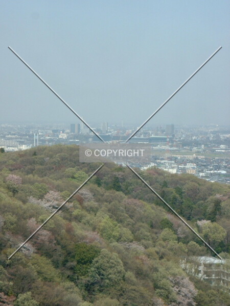 Panorama of Fuchū