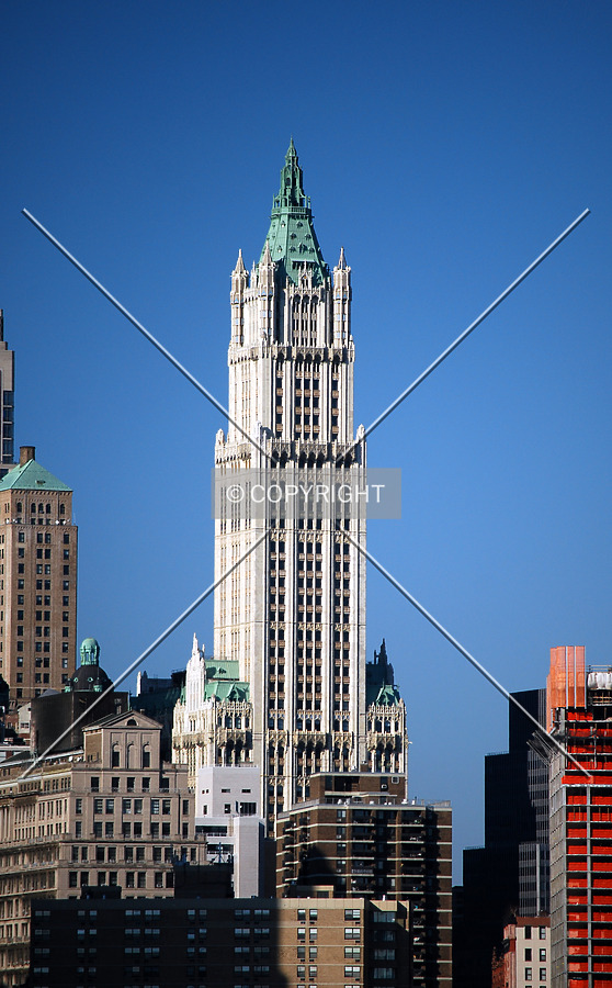 Woolworth Building by Royce Douglas