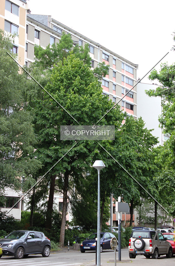 394 Avenue du Covet by Florian Barbier